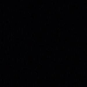 Meet your Posher, Izzy